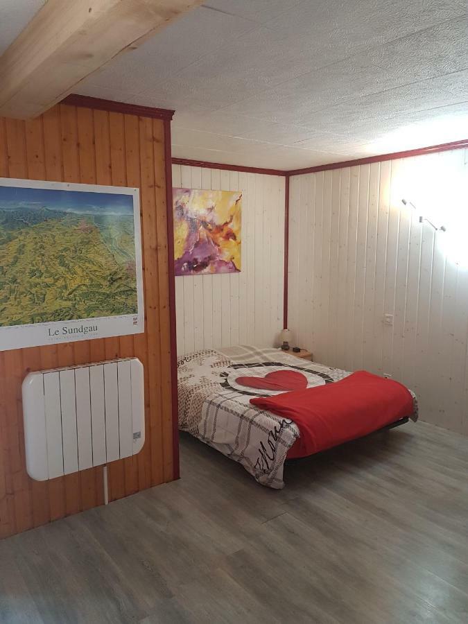 Le Nid Du Caveau Ferrette Buitenkant foto